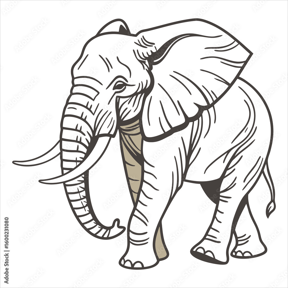 Fototapeta premium PriElephant Vectornt