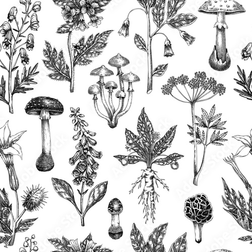 Witch herbs and toxic mushrooms seamless pattern. Poisonous plants background. Hand-drawn vector illustration. Bohemian design. NOT AI generated