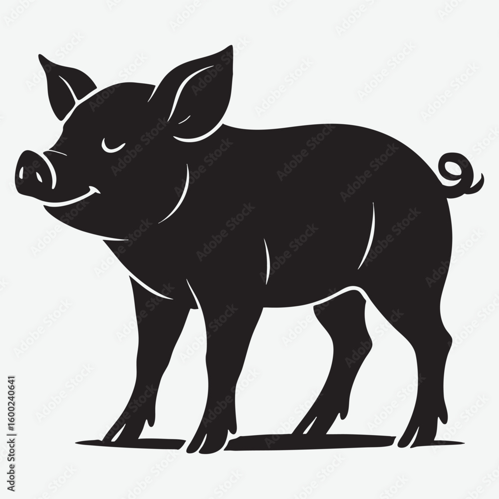 Fototapeta premium Black pig standing with curly tail animal farm