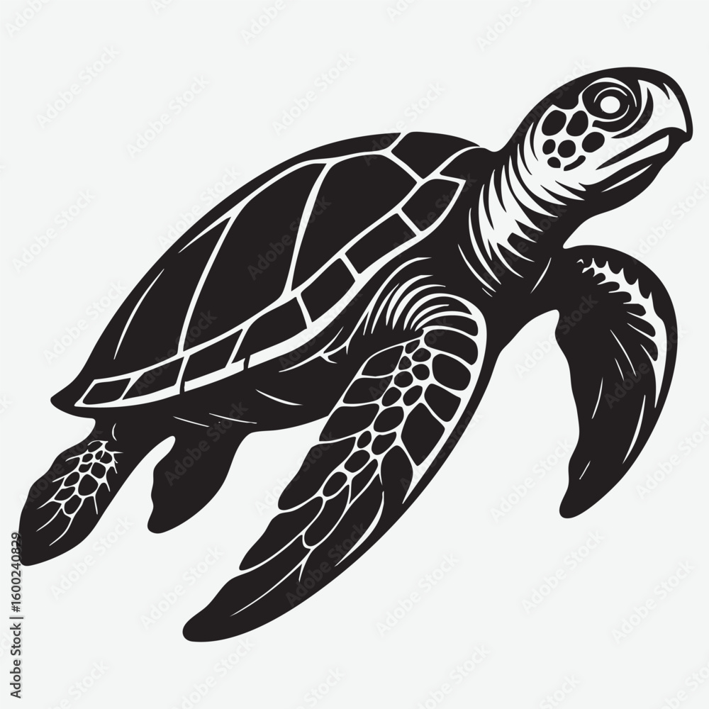 Fototapeta premium Black Sea Turtle Swimming Gracefully marine life ocean creature