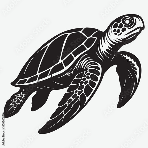 Black Sea Turtle Swimming Gracefully marine life ocean creature