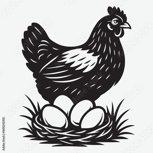 Hen with eggs in nest chicken bird