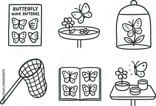 hand drawn cute out doodle style isolated butterfly wing pattern chart butterfly nectar feeder butterfly habitat terrarium butterfly catch net butterfly identification guide butterfly