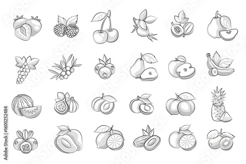 Fruits Set. Rustic Vintage Line Art Illustrations, farming, engraved sketch style