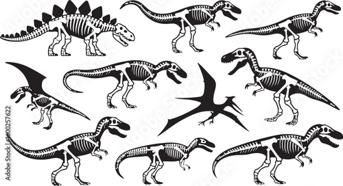 Dinosaur Skeleton Vector Illustration Set Prehistoric Fossil Reptile