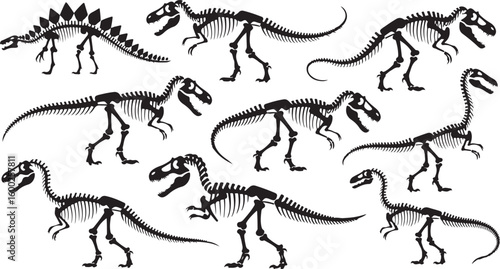 Dinosaur Skeletons Collection Vector Illustration on a Plain Backdrop
