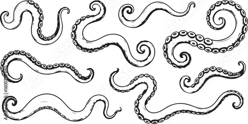 Octopus Tentacles Collection Vector Illustration on a Plain Backdrop