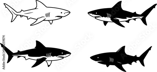 four vectors of sharks, black and white
