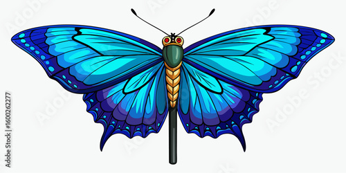 colourful butterfly isolated on white background