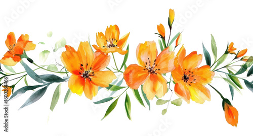 PNG Orange flower nature plant