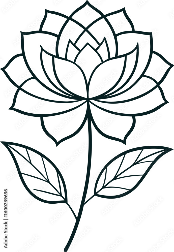 Fototapeta premium Rose flower outline Vector Design