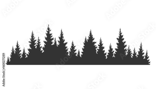 Fir trees silhouette. Coniferous spruce horizontal background pattern, black evergreen woods vector illustration. Beautiful hand drawn panorama of coniferous forest
