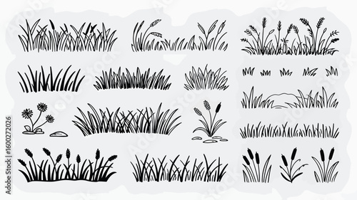 Hand Drawn Black and White Grass Border Illustrations Set Diverse Styles of Blades Flowers Cattails