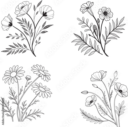 Botanical Harmony: Captivating floral arrangements meticulously illustrated in black and white, exuding elegance and natural beauty. Featuring Daisy and Poppy.