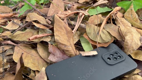 The cellphone was thrown into the bushes during the day.