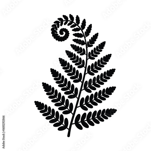 Black silhouette of a fern frond with a fiddlehead