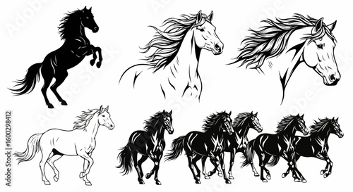 Black and white horse illustrations showcase dynamic poses and flowing manes, capturing animal's power and grace. Horse artwork includes various depictions of wild horse,