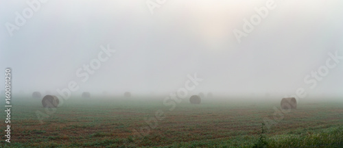 Round hay bales in farm paddock barely visible through fog on misty morning
