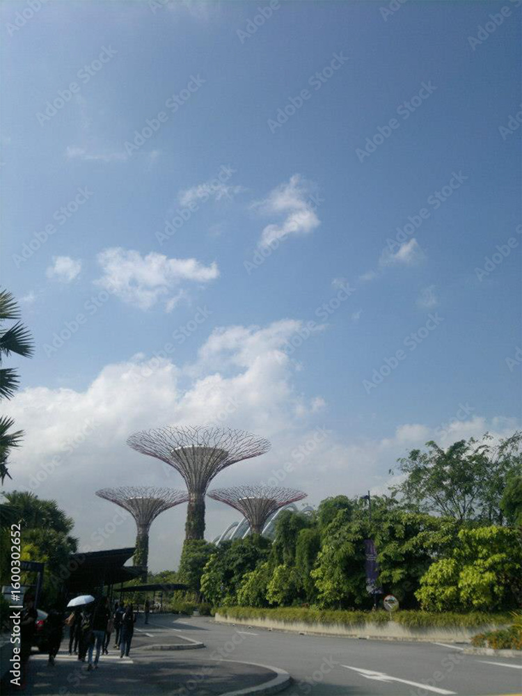 Fototapeta premium Garden by the bay singapore