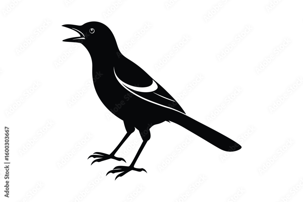 Fototapeta premium Set of Magpie Silhouette vector, Black Magpie Silhouette 