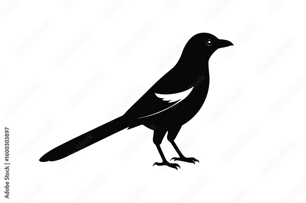 Obraz premium Set of Magpie Silhouette vector, Black Magpie Silhouette 