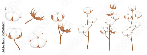 Set of white cotton in cartoon style. Vector illustration of beautiful brown branches with cotton flowers of different shapes and sizes isolated on white background. Textile, soft, fluffy fibers.