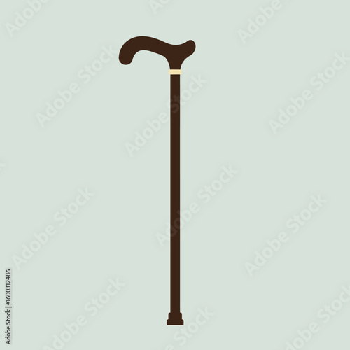 Classic dark brown walking cane with an elegant curved derby handle and a cream-colored collar band.