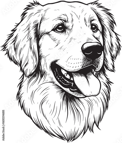 Detailed ink drawing of a happy golden retriever s face silhouette