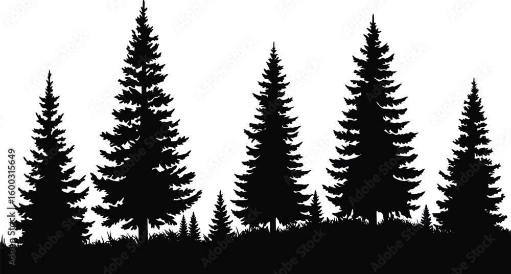 Obraz premium Silhouette of multiple dense coniferous evergreen trees arranged to create tranquil forest depth