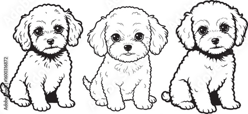 Three adorable poodle puppies sitting together silhouette