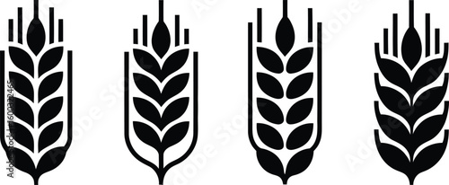Set of four wheat ears in black outline representing agriculture harvest grain and food production suitable for logos icons and design elements in a minimalist