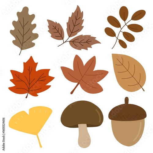 가을 나뭇잎 드로잉 아이콘 세트(fall leaves drawing icon set)