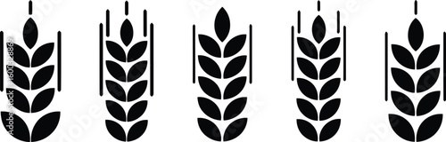 Seamless pattern of wheat ears in black and white representing agriculture harvest and food production suitable for backgrounds textile designs and branding related to farming