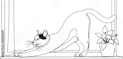 Whimsical sketch of a playful cat stretching and reaching around a window frame