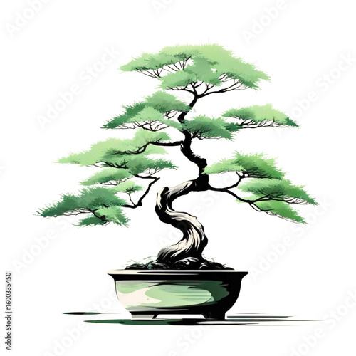 Artistic illustration of a twisted pine bonsai tree in a light green pot with delicate foliage