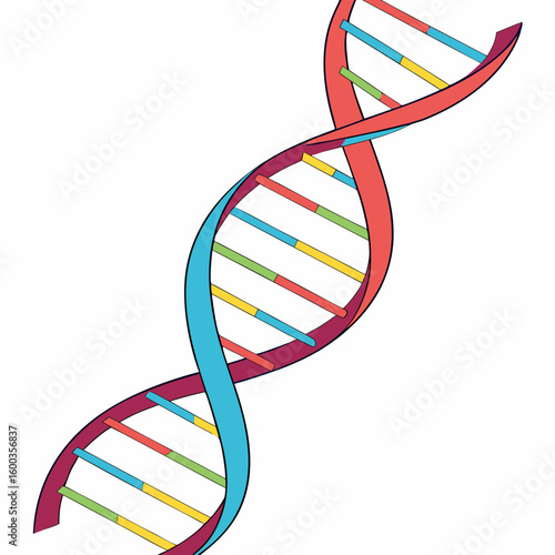 Colorful D N A helix illustration with bright gradient science biology