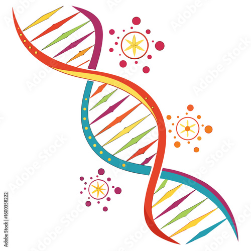 Colorful D N A Helix Illustration science biology