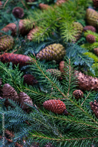 Pine Cones and Evergreen Branches Winter Christmas Background for Festive Projects