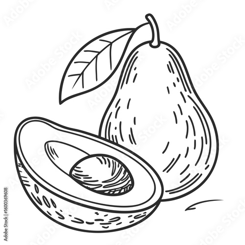 Whole and halved avocado with leaf fruit healthy