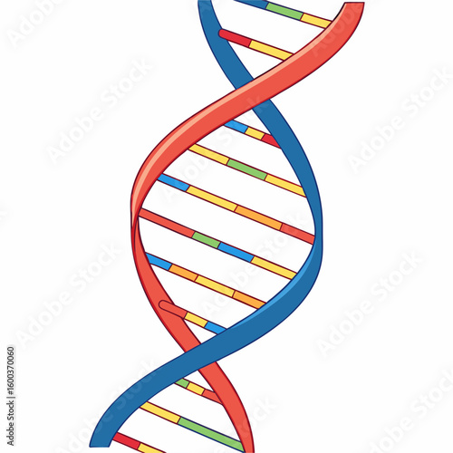 Vibrant D N A Helix Structure science biology