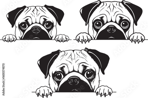 Three pug faces peeking over a surface silhouette