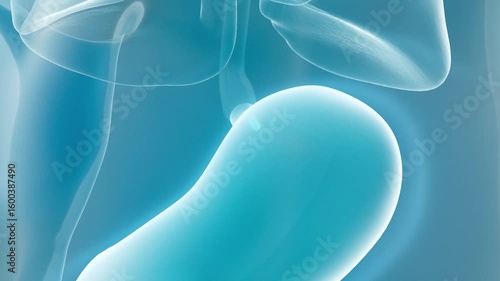 Take capsule, take probiotics, diffuse particles in the stomach, promote gastric motility, and show the whole process of medication.3d animation.