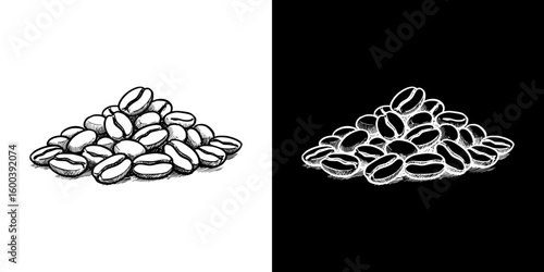 Coffee beans illustration in chalk drawing style, Isolated vector image in two design variants - on transparent and black backgrounds
