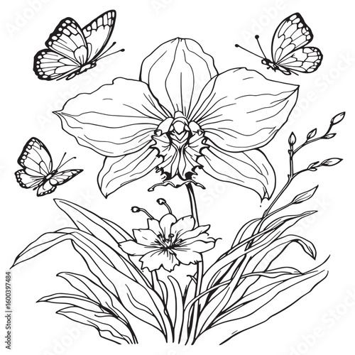 Orchid line art artistic flower sketch pure refined style