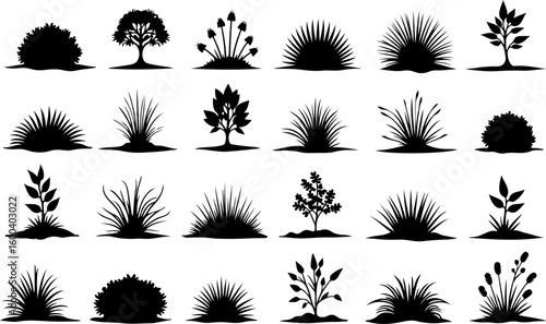 trees, nature, silhouette vector bundle