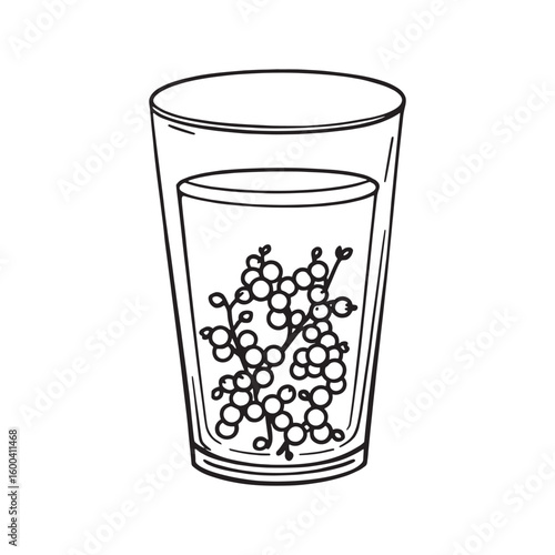 Redcurrant Juice line art bursting with flavor antioxidants energy