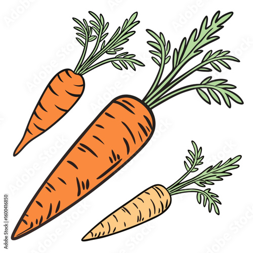 carrots and parsley