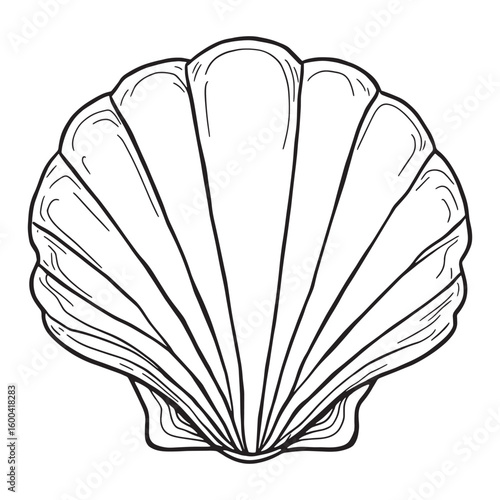 seashell line art waves sparkle under golden sun light