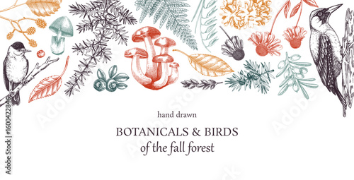 Autumn forest frame design. Hand drawn botanical illustration of fall leaves, birds, mushrooms, berries. Vintage card template. Not  AI generated