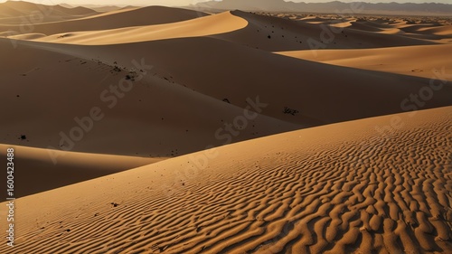 Golden sand dunes under the desert sun in Morocco and Death Valley